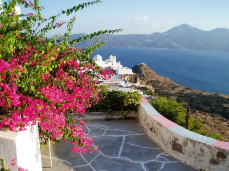 Bougainvillea on a terrace in Plaka, Milos, with the bay of Milos below.